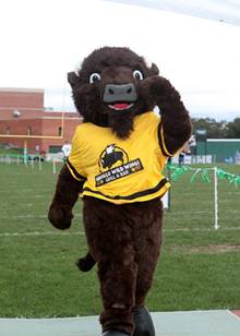 http://tristaterunnur.smugmug.com/Cross-Country/BUFFALO-WILD-WINGS/i-NcQnBwX/1/M/100612%202635-M.jpg